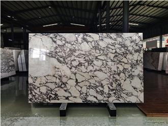 Calacatta Sintered Stone Slab Sintered Stone Wall