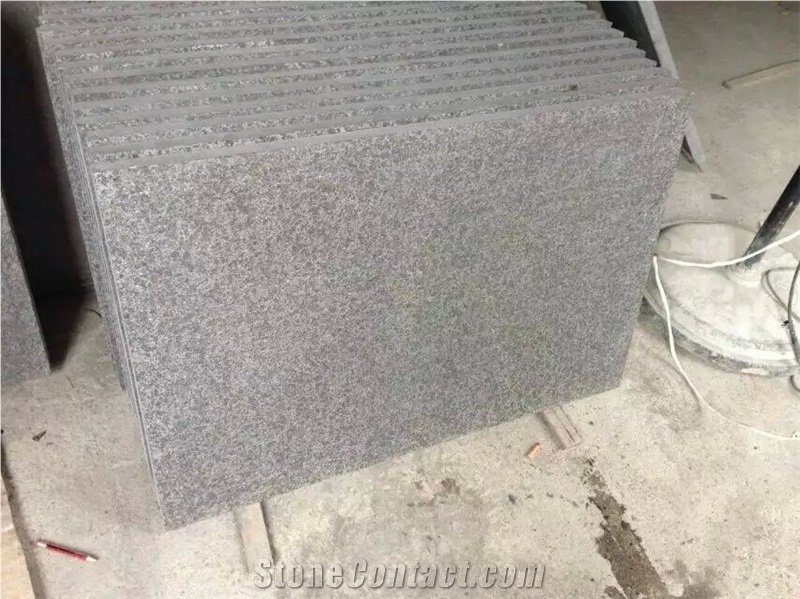 New G684 Berry Black Granite Flamed Tiles