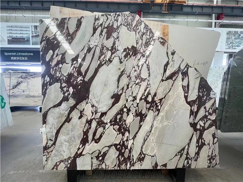 Calacatta Viola Marble Slabs Polished Tiles