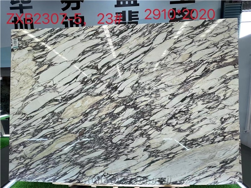 Calacatta Viola Marmi Breccia Capraia Marble Tiles