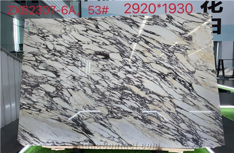 Calacatta Viola Marmi Breccia Capraia Marble Tiles