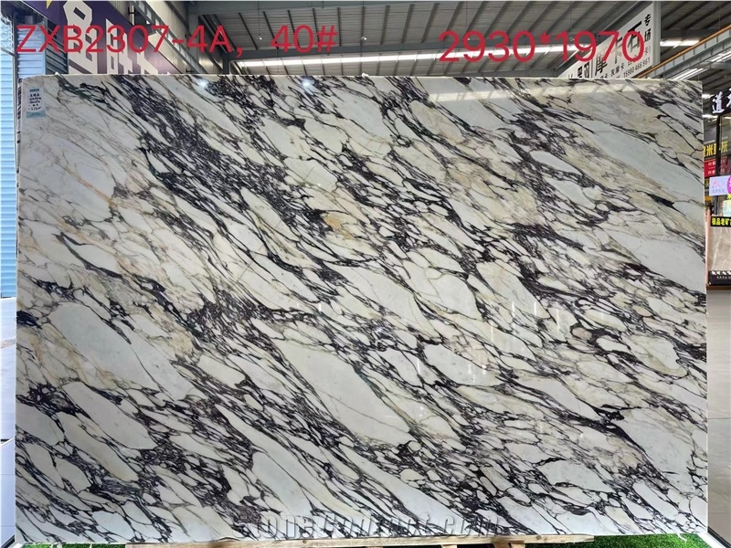 Calacatta Viola Marmi Breccia Capraia Marble Tiles