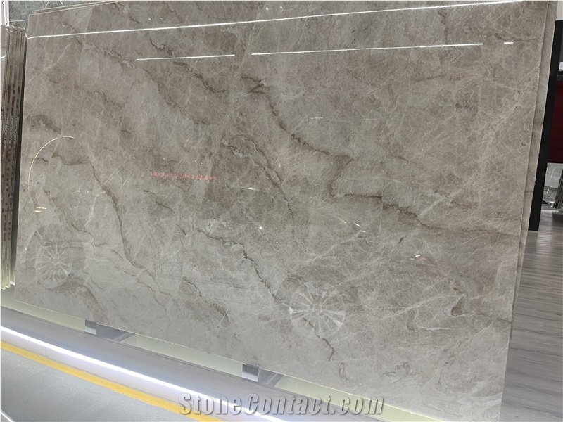 Taj Mahal White Quartzite Stone For Wall Tiles