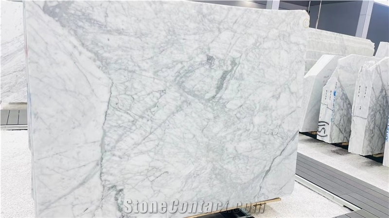 Calacatta Michelangelo Marble Slabs Bianco Statuario White