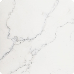Venatino Statuary Calacatta White Quartz Stone  Countertops
