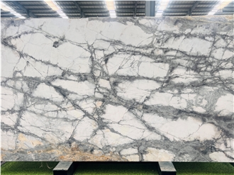 Eksioglu Iceberg Blue Marble Slabs