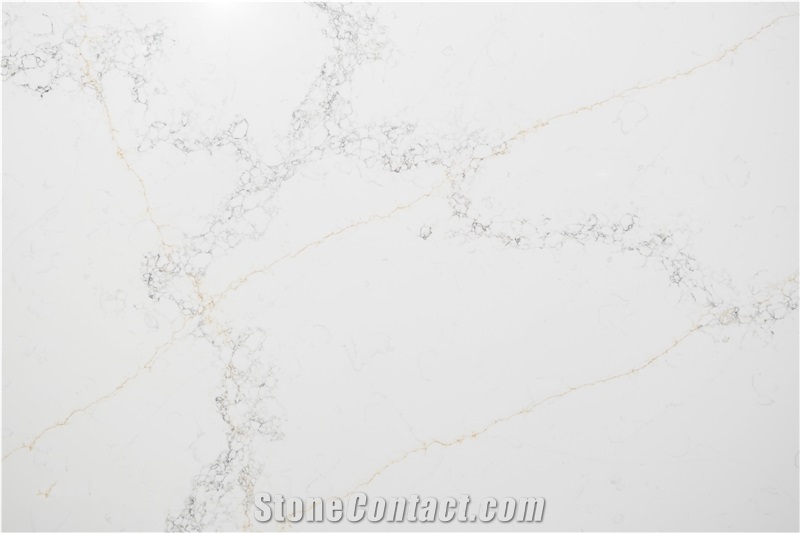 Ash Quartz - Calacatta Gold With Grey Vein Quartz Slabs