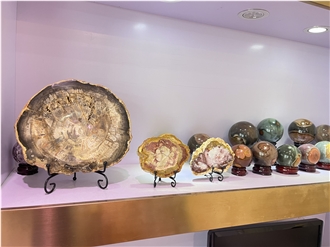 Petrified Wood Stone Home Decor Products