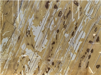 Golden Autumn Quartzite Slab Tiles