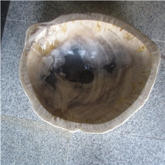Fossil Wood Stone Sink Random Shape