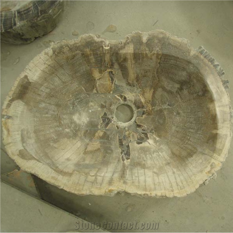 Fossil Wood Stone Sink Random Shape