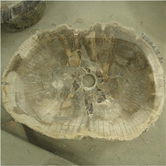 Fossil Wood Stone Sink Random Shape
