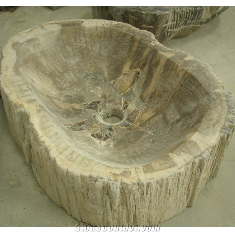 Fossil Wood Stone Sink Random Shape