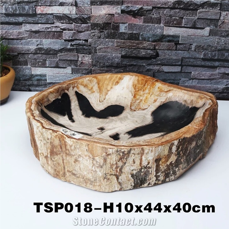 Fossil Wood Stone Sink Random Shape
