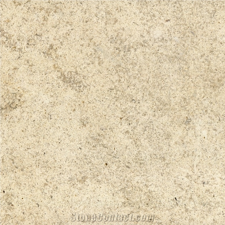 Saint Marc Limestone importance=