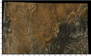 Sandalus Quartzite Slab