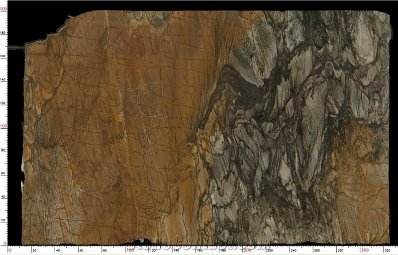 Sandalus Quartzite Slab