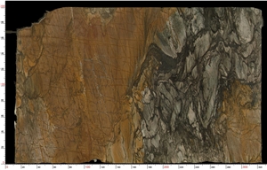 Sandalus Quartzite Slab