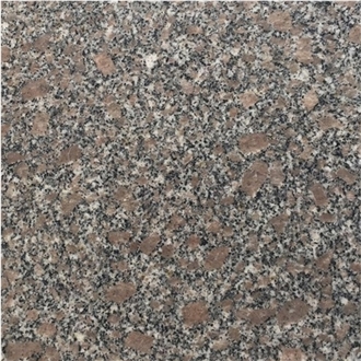 G383 Pearl Flower Granite Slab Tiles
