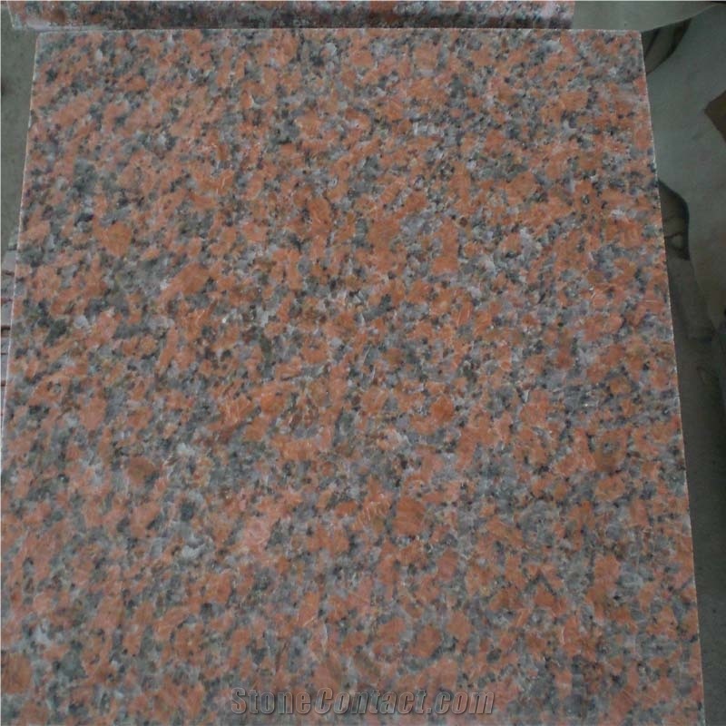 G562 Maple Red Granite Slabs Tile