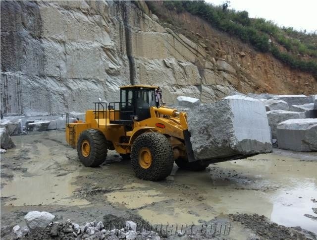 BENE 28Ton Forklift Loader 28Ton Quarry Wheel Loader With Forks