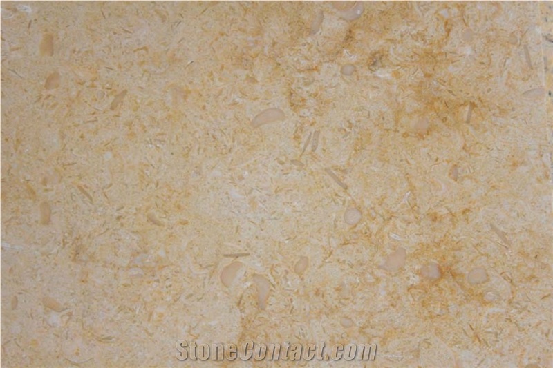 Sunny Menia Light Marble Tiles & Slab