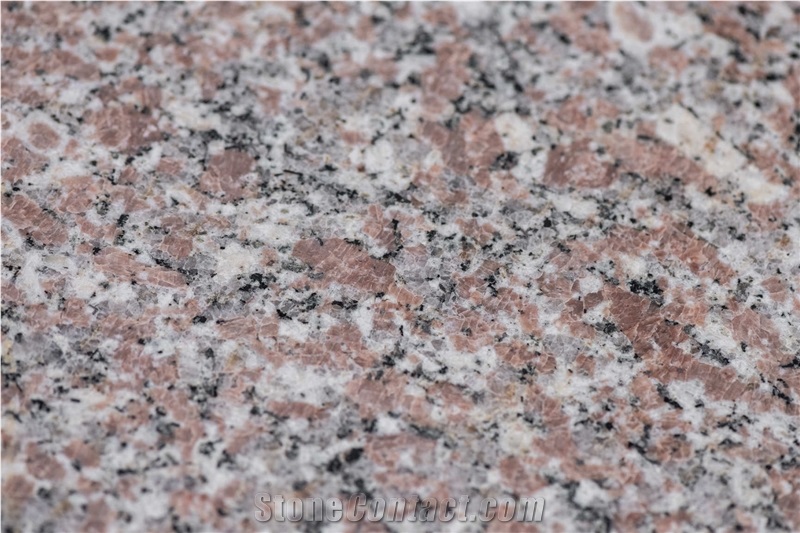 Rosa Royal Granite Polished Tiles