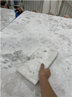 Turkey Albert Marble Slabs Honed Surface With Thick 30Mm