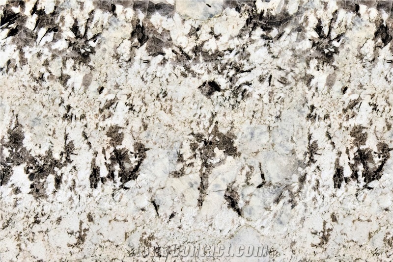 Alaska White Granite Slabs