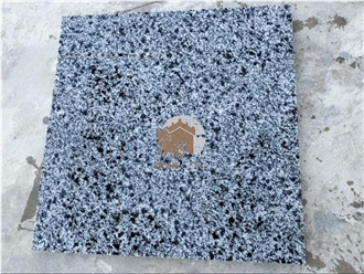New Halayed Granite Tiles