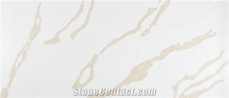 Calacatta Leon Gold Quartz Slabs