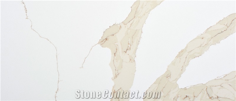 Calacatta Leon Gold Quartz Slabs