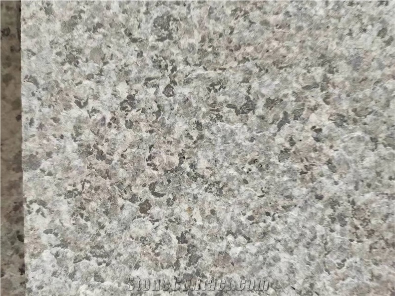 New G681 Shrimp Red Granite Flamed