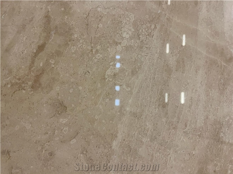 Cosmos Olive Marble Slab