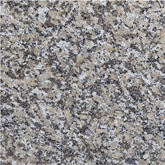 Mondariz Granite Tile