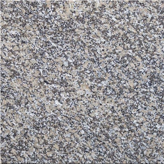 Mondariz Granite Tile