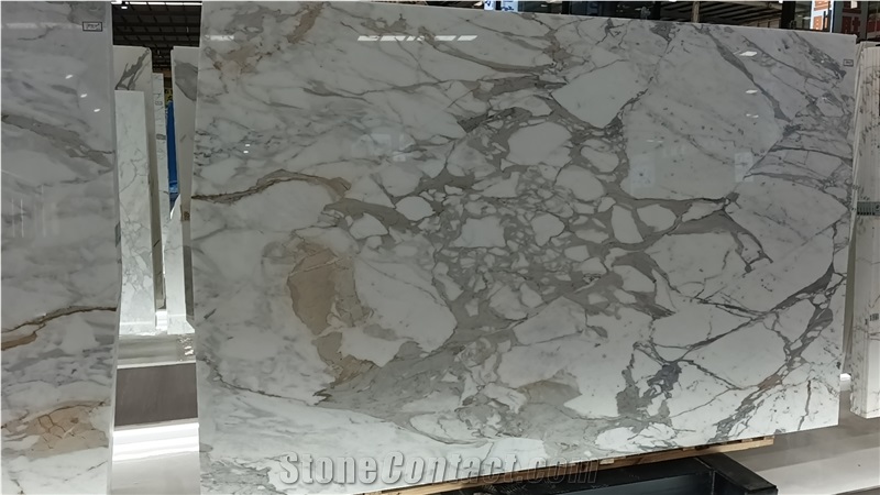 Glossy Polished Calacatta Vagli Marble Slabs And Tiles
