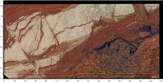 Polished Breche Fantastique Marble Slab For Tiles