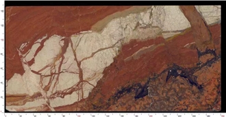 Polished Breche Fantastique Marble Slab For Tiles