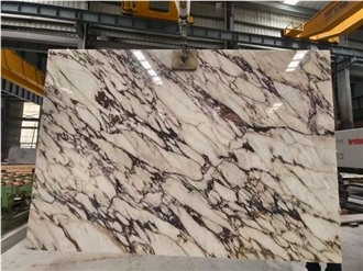 Calacatta Viola Marble Big Slabs