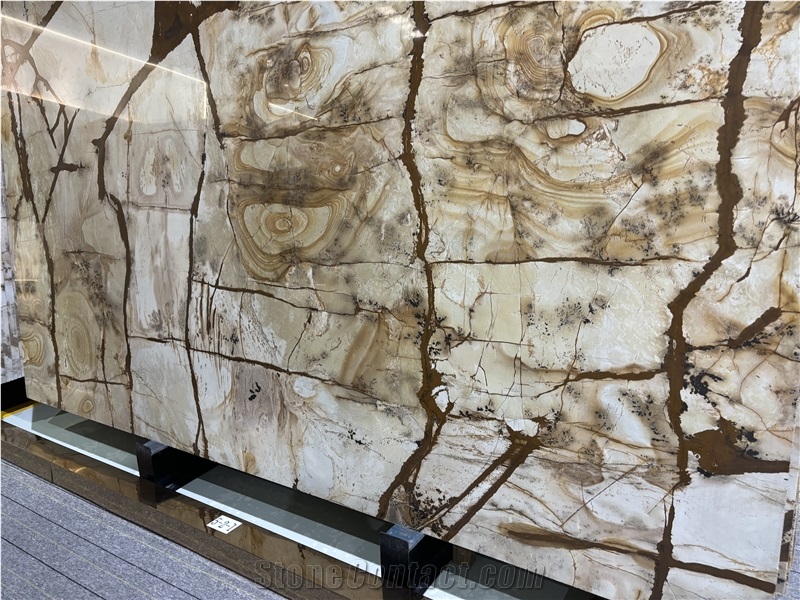 Roman Impression Quartzite Slabs