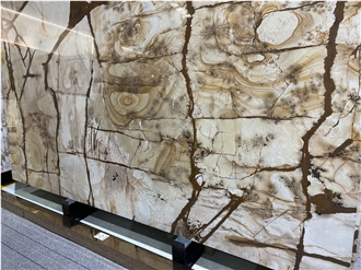 Roman Impression Quartzite Slabs
