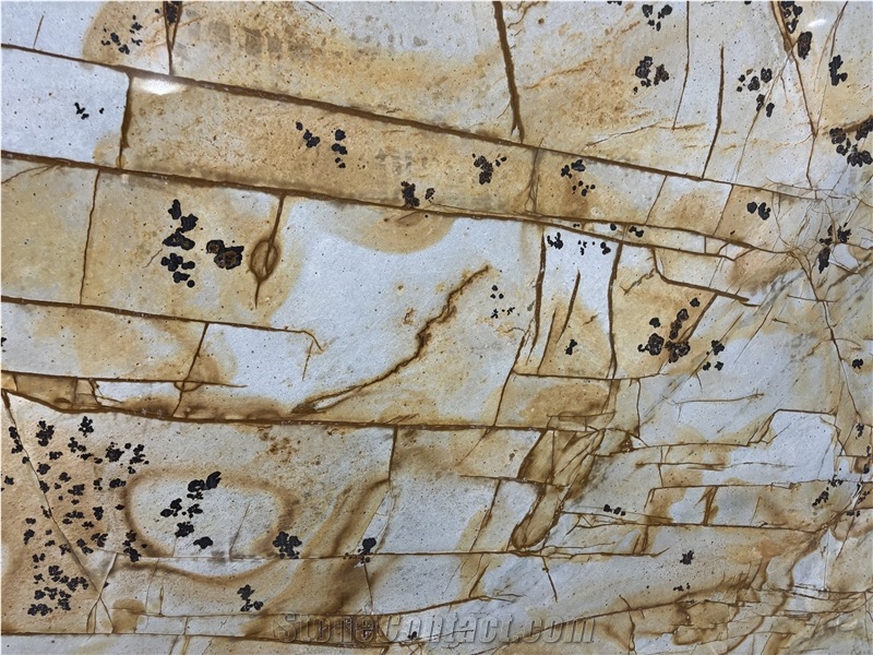 Roman Impression Quartzite Slabs