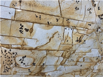 Roman Impression Quartzite Slabs