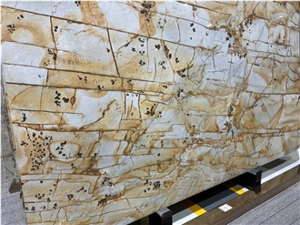 Roman Impression Quartzite Slabs