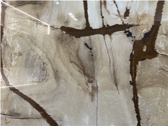 Roman Impression Quartzite Slabs