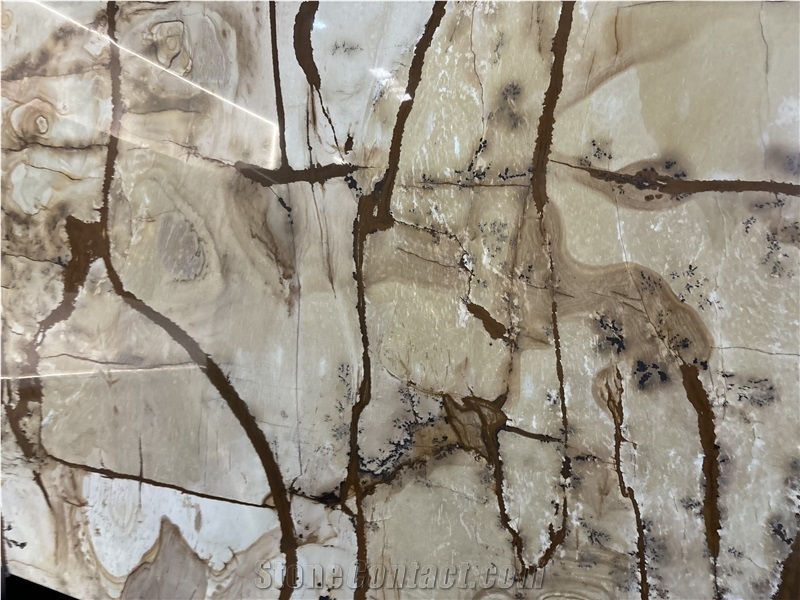Roman Impression Quartzite Slabs