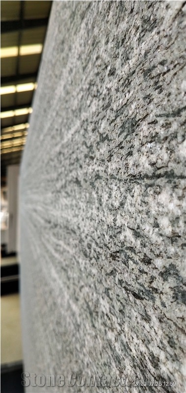 Avocatus Quartzite Slabs Leather Finish