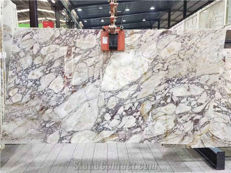 Calacatta Viola Marble Breccia Marble Slabs