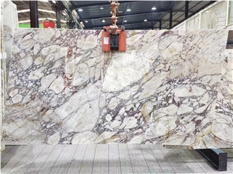Calacatta Viola Marble Breccia Marble Slabs